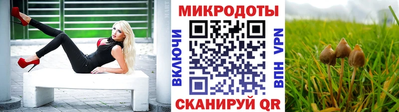 Купить где  Дивногорск  Галлюциногенные грибы мицелий 