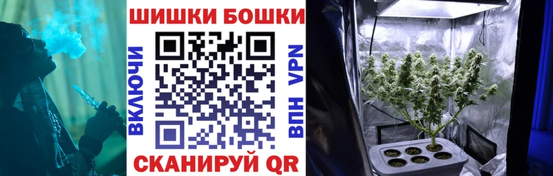 Бошки марихуана Amnesia  Купить  Дивногорск 